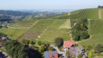 Blickrichtung Strassburg