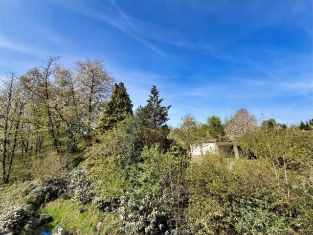 Ausblick Wohnung Dachgeschoss