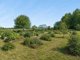KI-Visualisierung: Gemüse- und Kräutergarten mit Gewächshaus