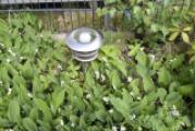  Lampen mit Strom- und Solarmodulen