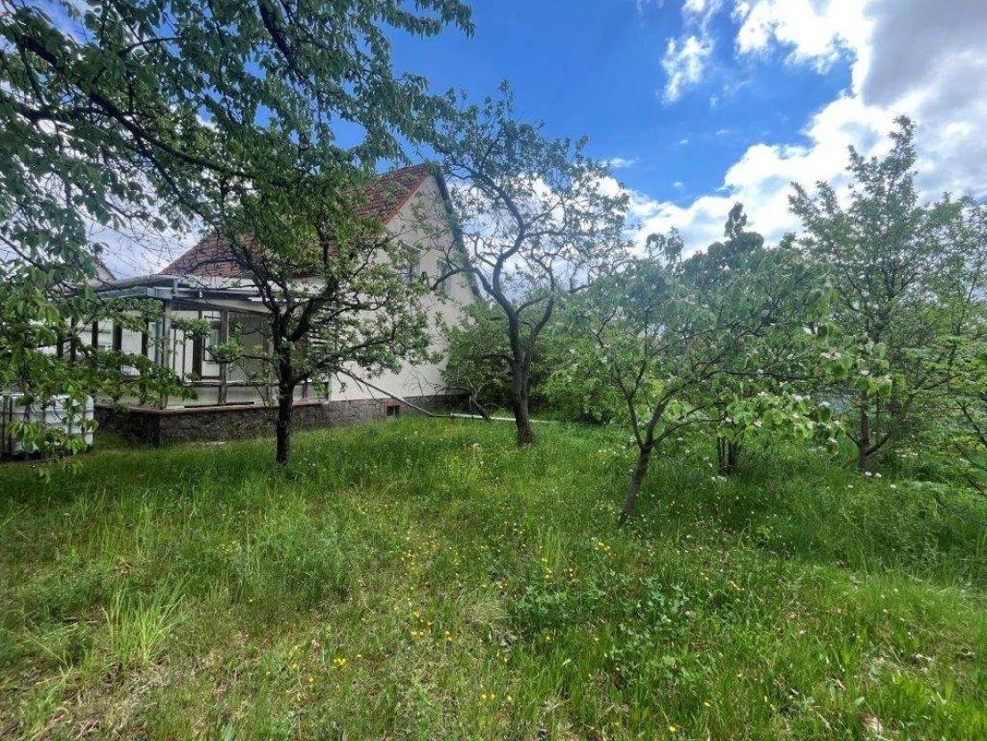 weitläufiger Garten für Naturliebhaber