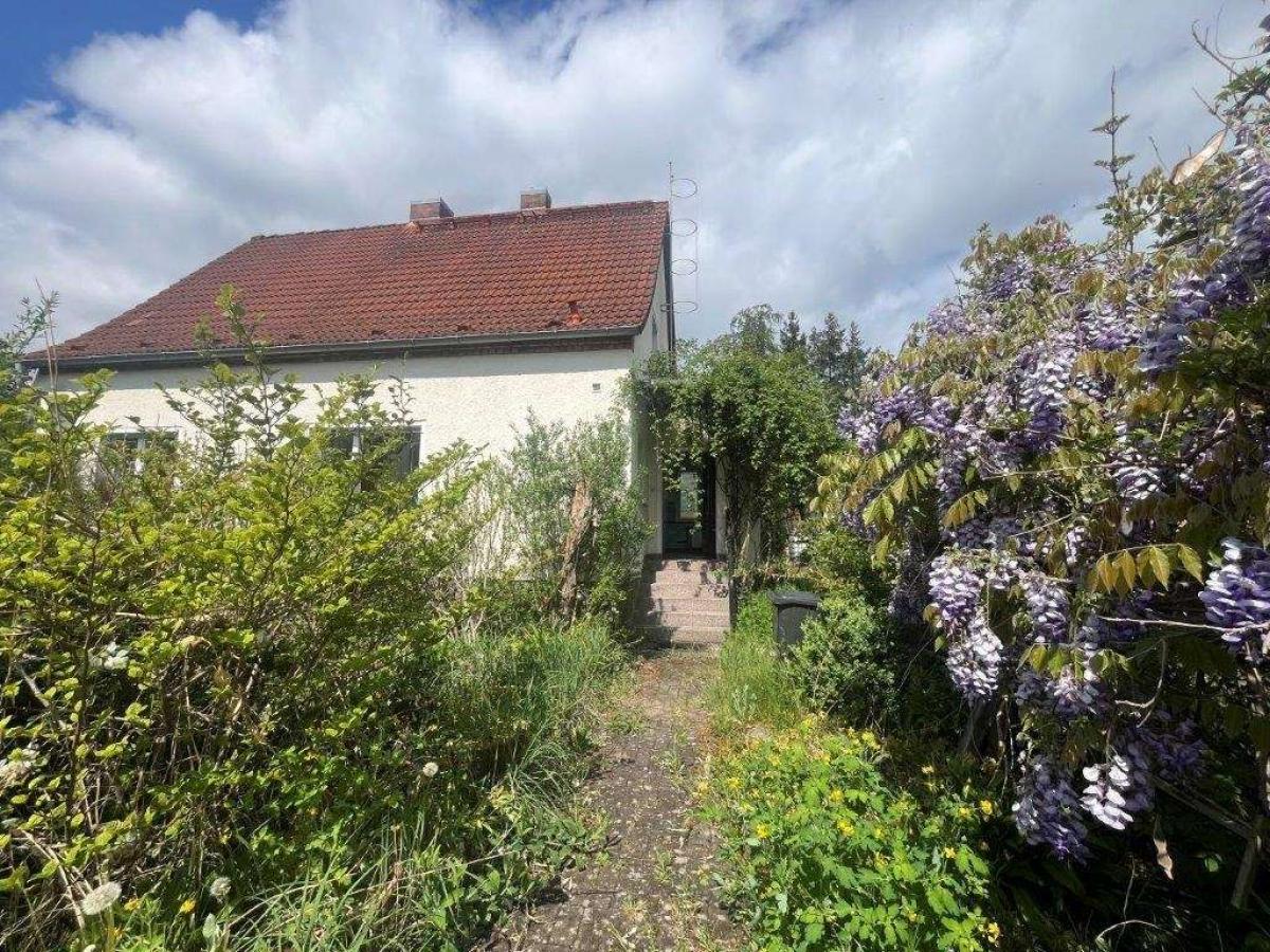 Hier könnte Ihr neues Zuhause sein