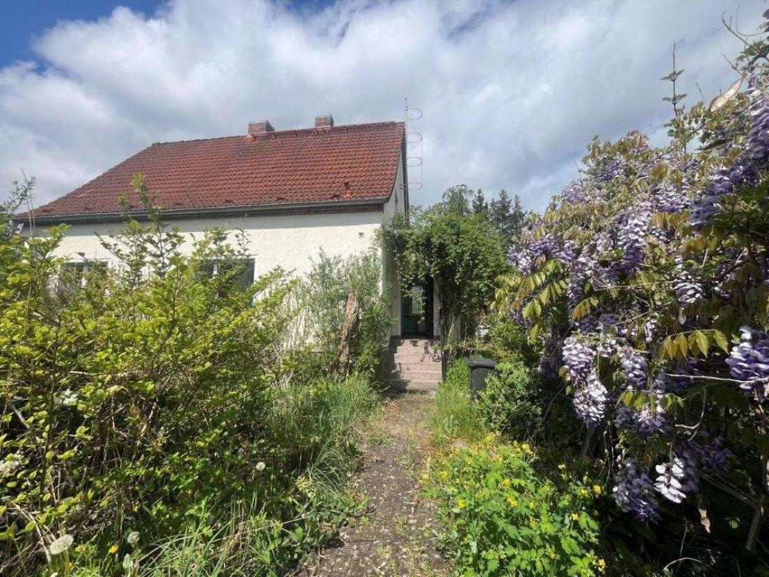 Hier könnte Ihr neues Zuhause sein