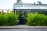 Green House Restaurant