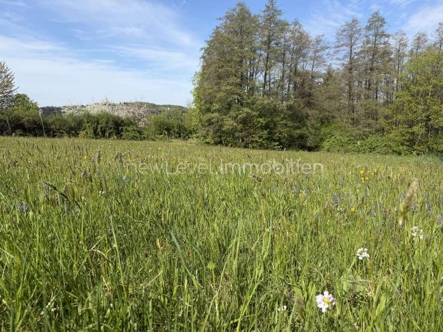 Blick Richtung Deggendorf