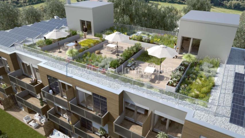 Dachterrasse