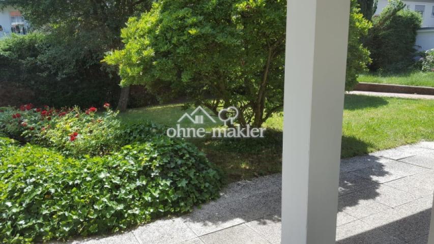 Blick auf Magnolie 2