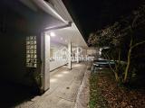 Ambientelicht