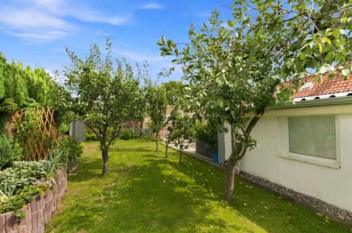 Obstgarten hinter dem Haus