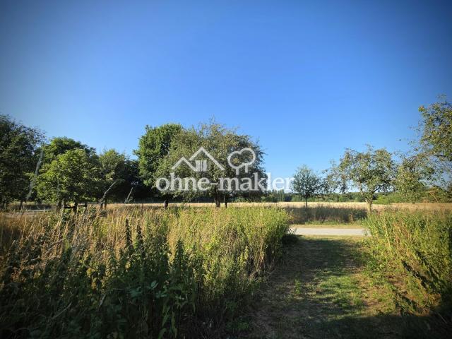 Angrenzende Landschaft