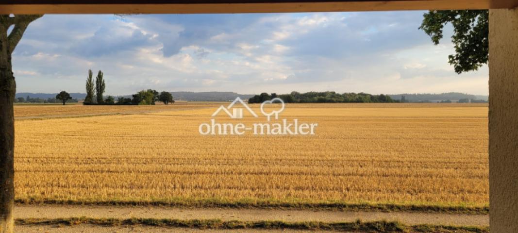 Blick aufs Feld