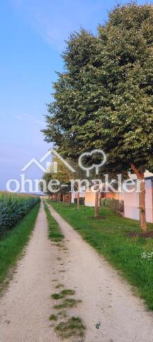 Feldseite bei Haus