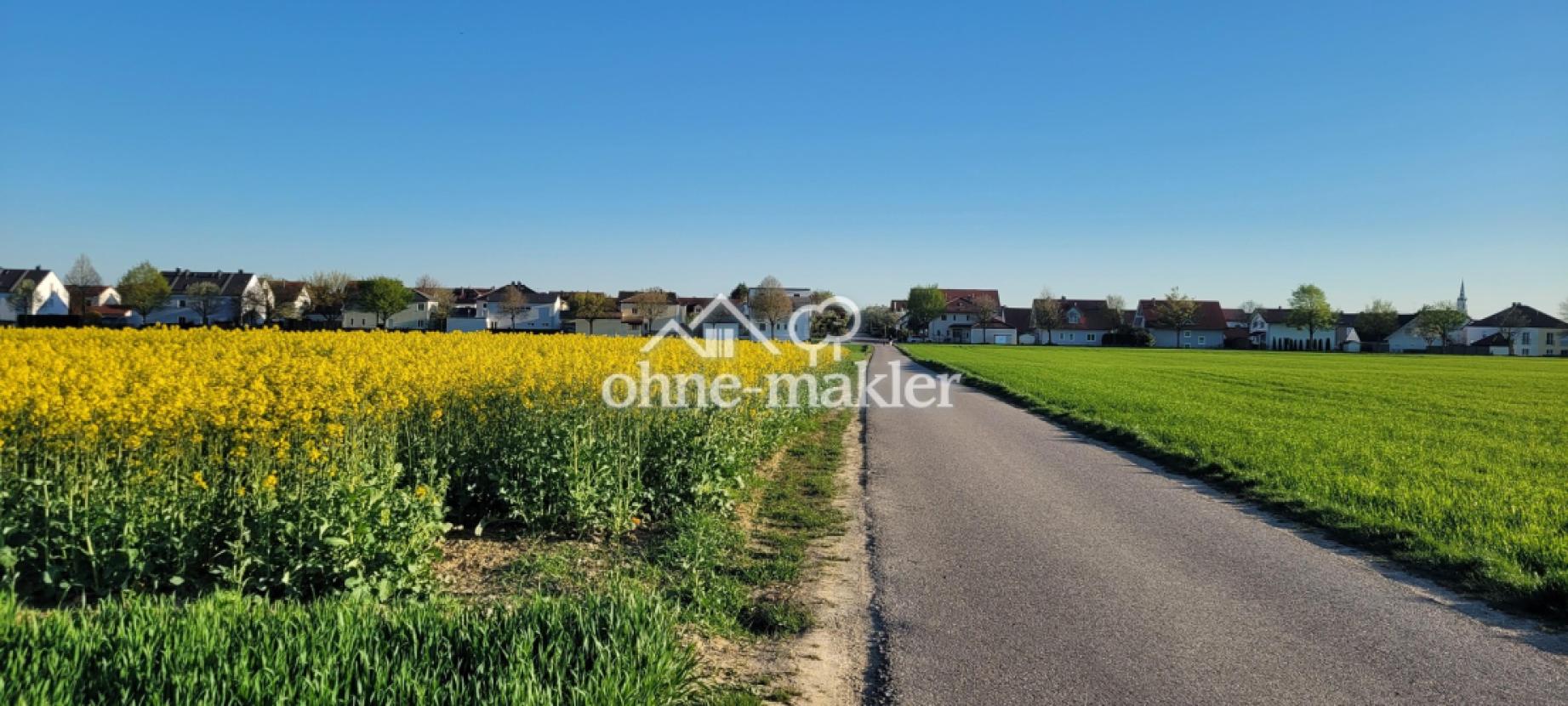 Blick auf Gaimersheim vom Feld