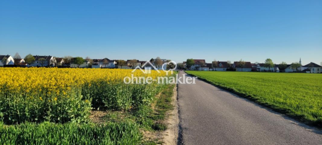 Blick auf Gaimersheim vom Feld