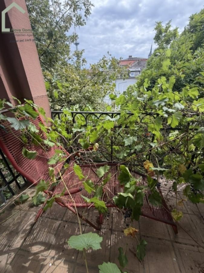 Verwunschene Ausblicke