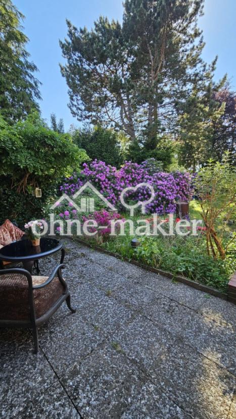 Blick in den Garten