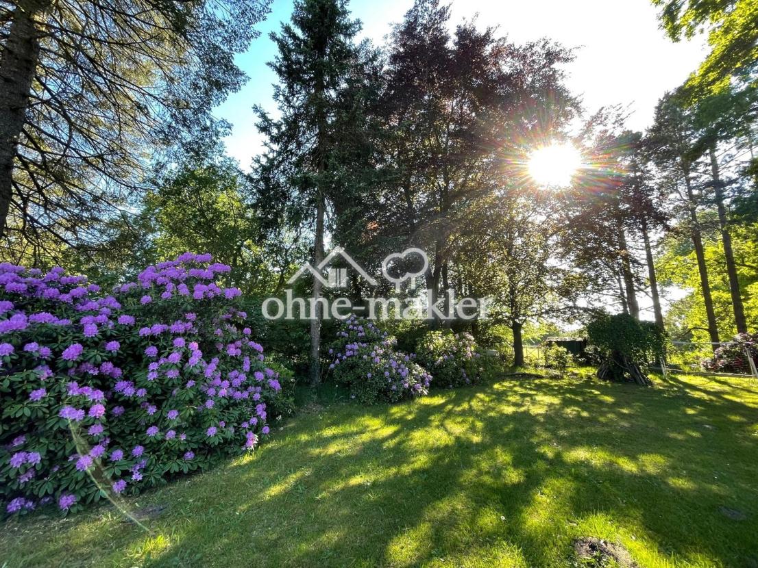 Garten 1