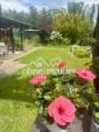 Gartenterasse mit Waldblick