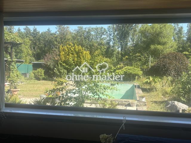 EG Wohnzimmeraussicht