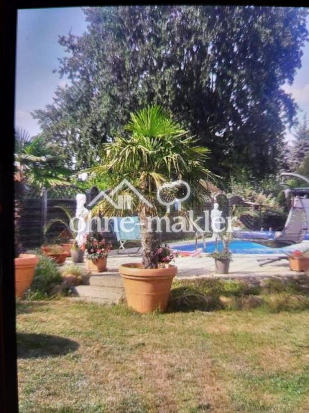 Pool muss wahrscheinlich weg 