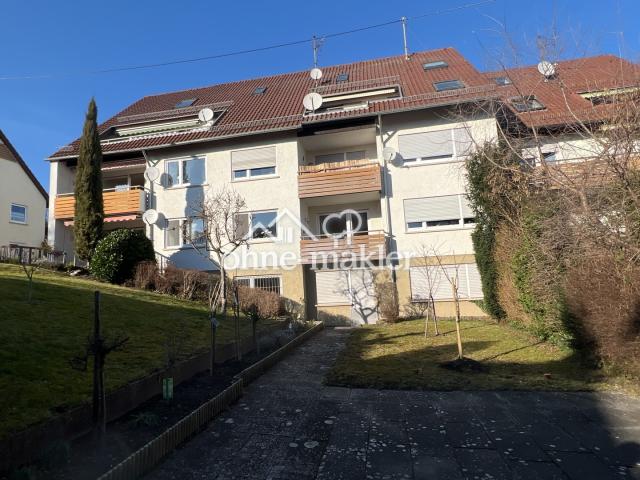 Garten + Freifläche