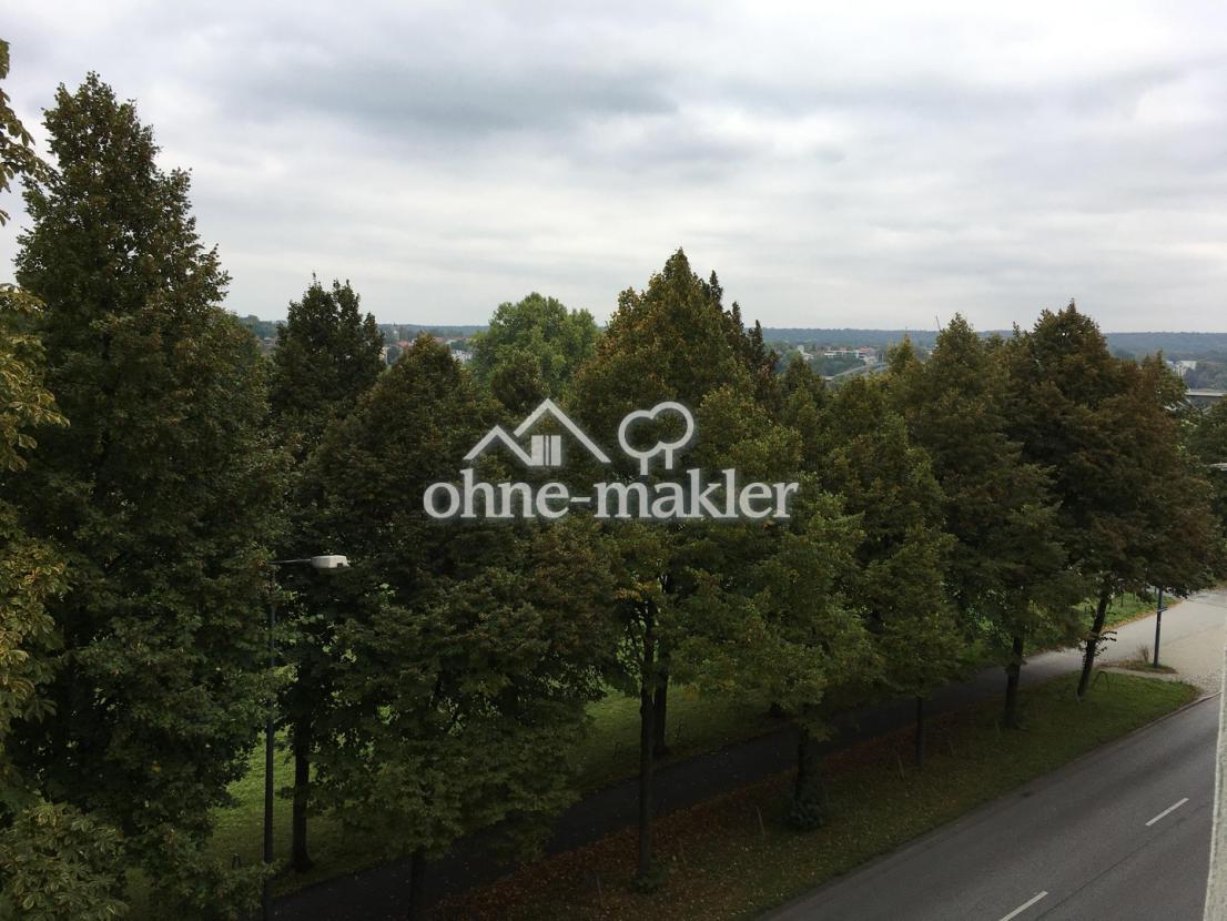 Blick auf die Elbauen