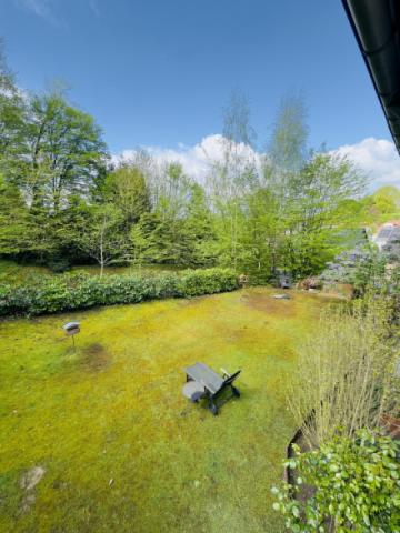 Ausblick in den Garten