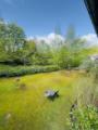 Ausblick in den Garten