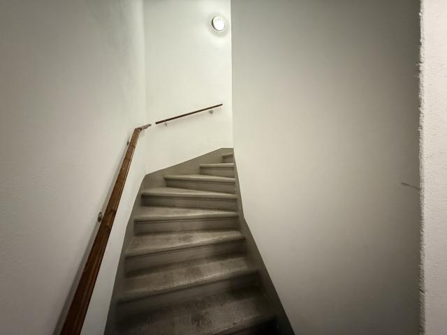 IMG 1144