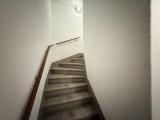 IMG 1144