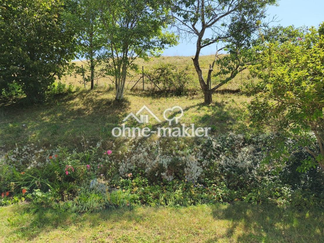 Gemeinschaftsgarten SÜD-OST