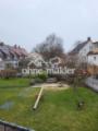 Blick in den Garten