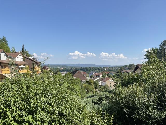 Ausblick von Terrasse  Garten