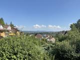 Ausblick von Terrasse  Garten