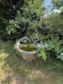 Gartenimpression