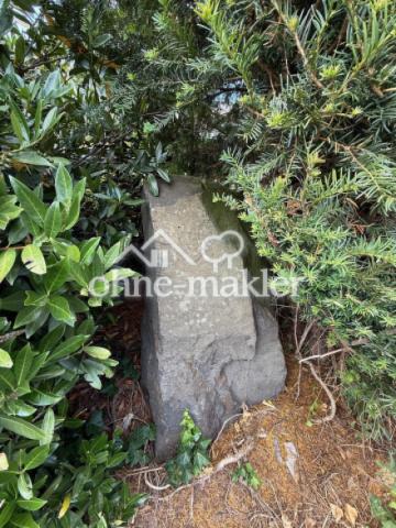 Gartenimpression 4
