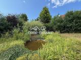 Gartenteich