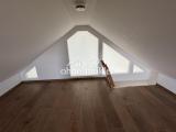 Dachspitz 3