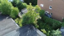 Außenansicht mit Garten