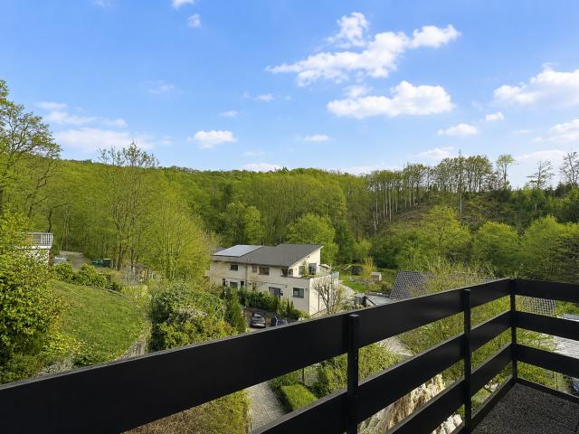 Ausblick / Grünblick