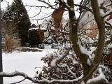 Garten im Winter