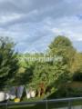 Blick vom Balkon 