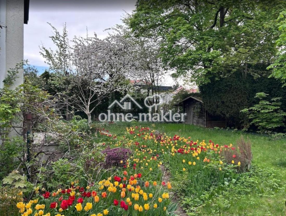 Blick in den Garten