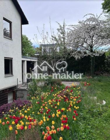 Tulpen im Garten