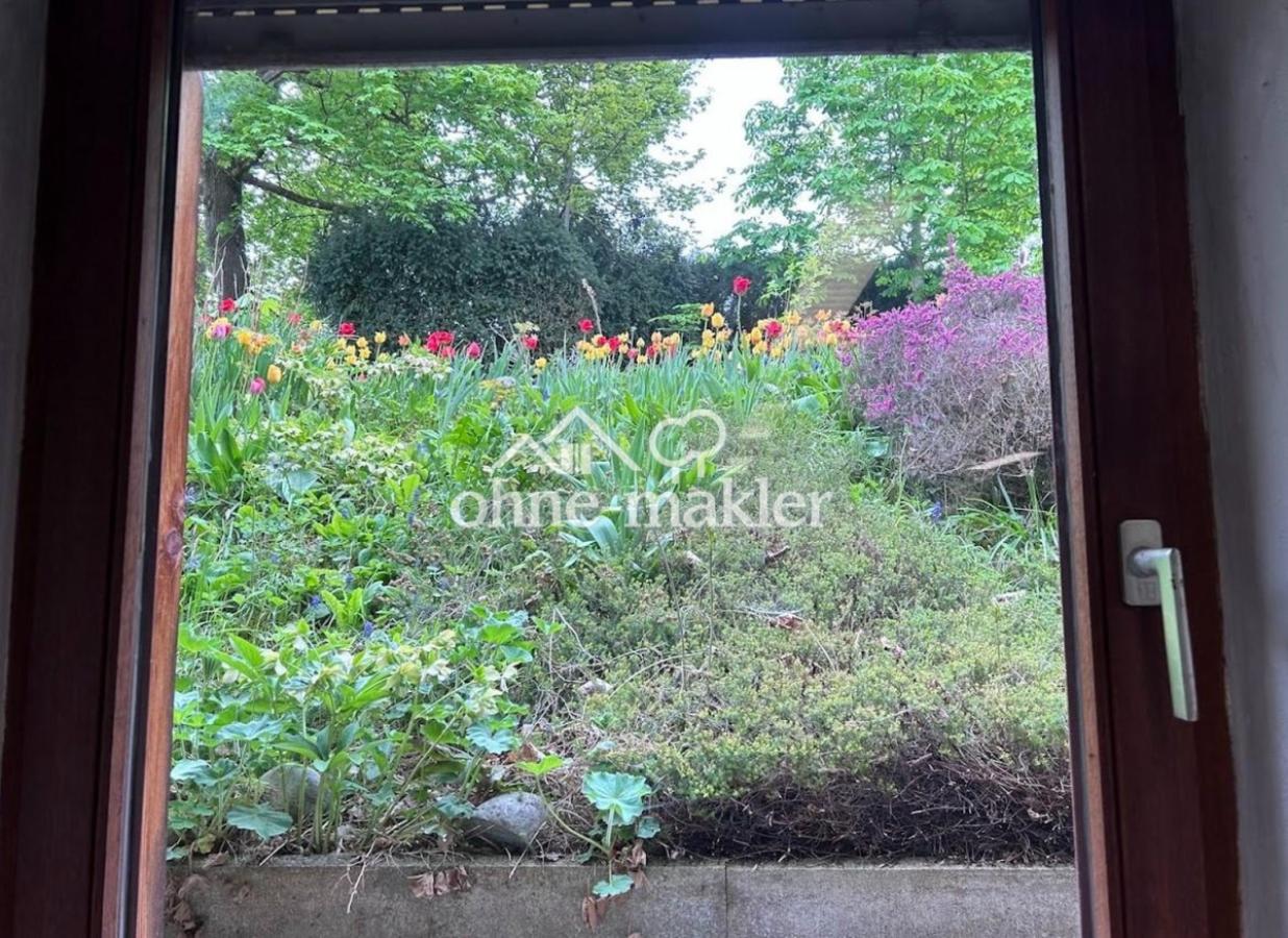 Blick aus Kellerfenster