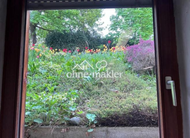 Blick aus Kellerfenster