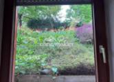 Blick aus Kellerfenster