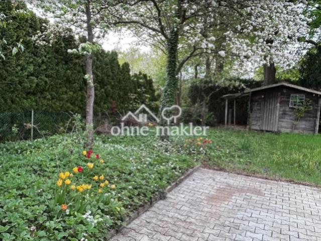 Blick in den Garten
