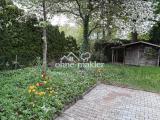 Blick in den Garten