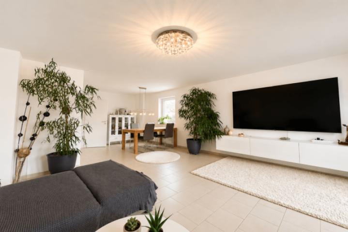 Wohn-Esszimmer